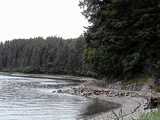 Icy Strait Nature